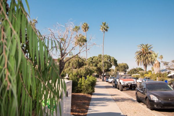 765 Agate St #7, San Diego, CA 92109 photo 11