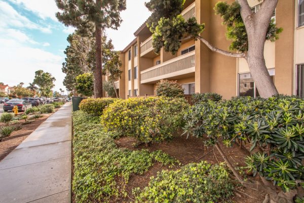 1775 Diamond St, Unit 113, San Diego, CA 92109 photo 14