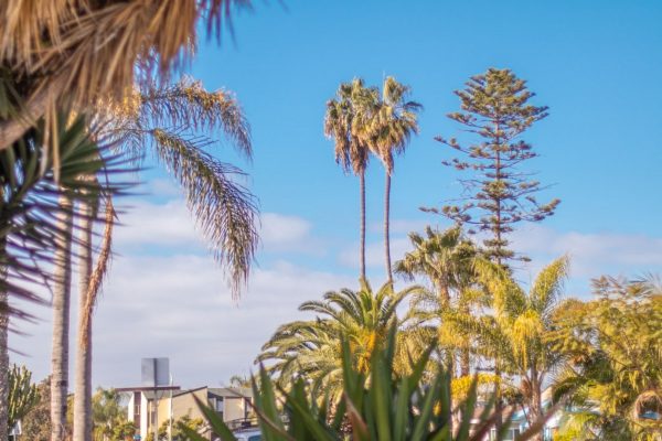 1069-B Chalcedony St, San Diego, CA 92109 photo 12