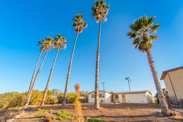 5134 Winthrop St, San Diego, CA 92117 photo 22