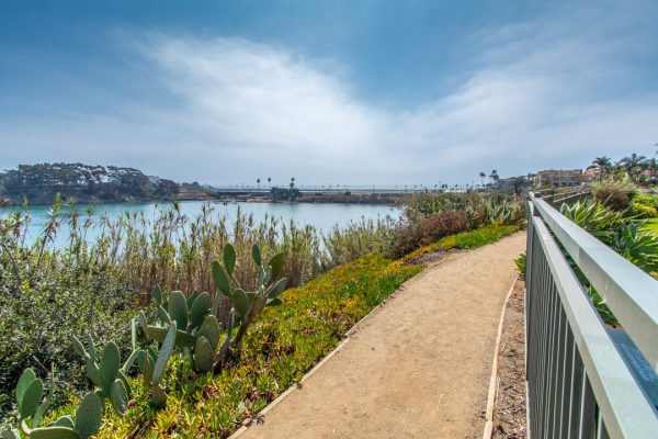 817 Kalpati Circle 306, Carlsbad, CA 92008 photo 36