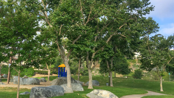 2511 Stoneview Ln, Spring Valley, CA 91977 photo 36