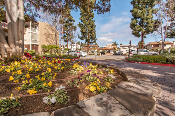 1855 Diamond St 5-124, San Diego, CA 92109 photo 34